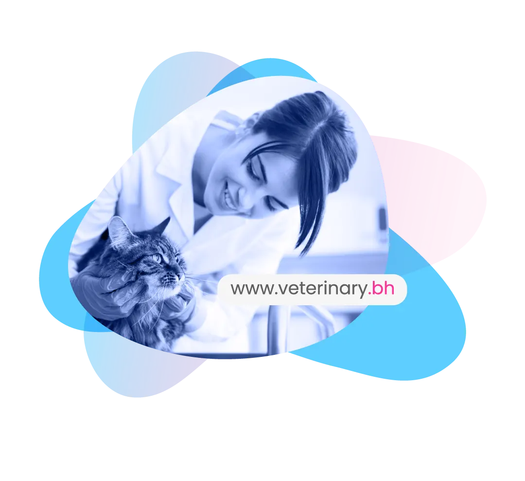 bahrain domain for vet